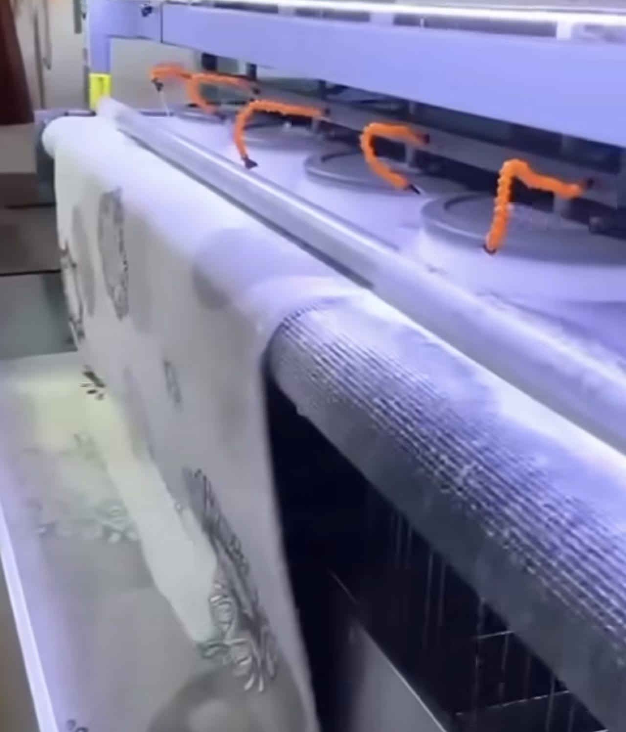 Halı yıkama temizleme